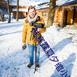 陸寒霆夏夕绾小說全文免費閱讀