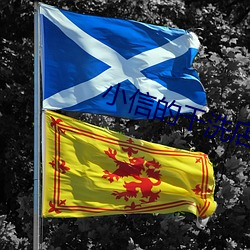 小信的幹洗店1~4櫻