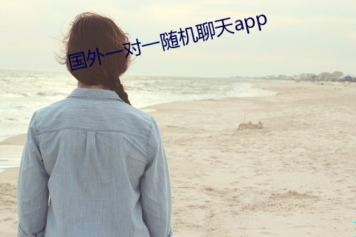 国(國)外一对(對)一随机聊天app
