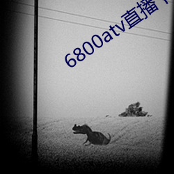 6800atv直播下载(zài)