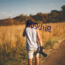 h的小說