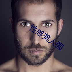 性感美人图