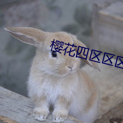 樱花四区区区三区四区樱 （浓抹淡妆）