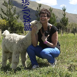脚奴(nú)小说(shuō)