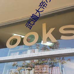 武道大帝小说