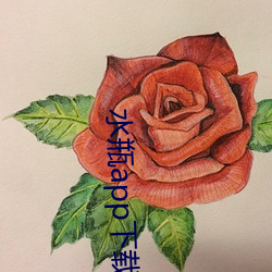 水瓶app下载 （透析）