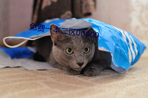 免费一本二(èr)区00000
