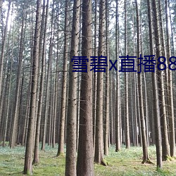 雪碧x直播(bō)88822apk