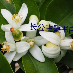 AG真人平台(中国)官方网站