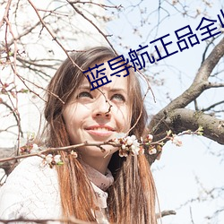 藍導航正品全收錄
