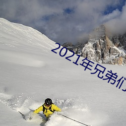 2021年(nián)兄(xiōng)弟(dì)们给资源