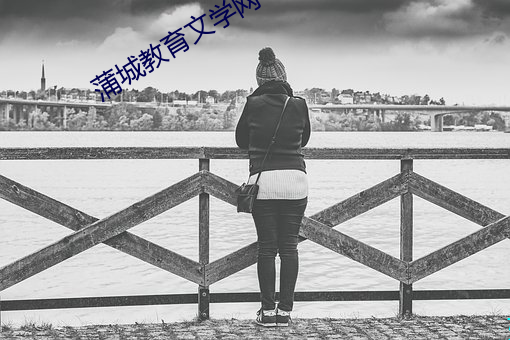 蒲(蒲)城(城)教育(育)文学(學)网