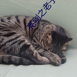亮劍之老子是孔捷