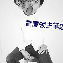 雪鹰(yng)领主笔趣阁