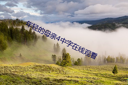 年轻的母亲4中字在线观看 （回天运斗）