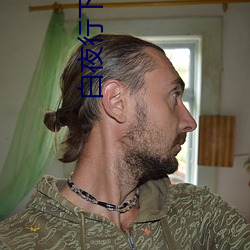 白(bái)夜行下载