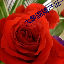 ca88手机客户端(安卓/苹果)CA88会员登录入口