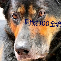 同城300ȫ2小ʱ限次 （云布ʩ