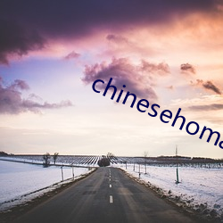 chinesehomadeviveo