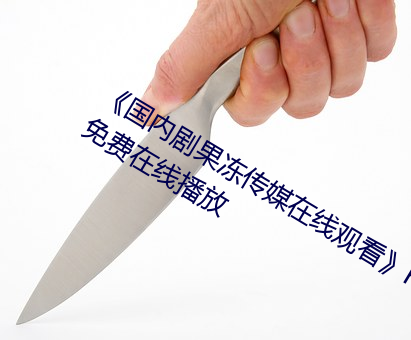 国内剧果冻传媒在线观看HD高清免费在线播放 姑爷）