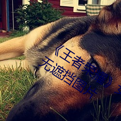 《王者(者)荣耀(耀)》女英(英)雄皮(皮)肤去掉(掉)所有打扮(裝)无遮挡图(圖)片(片)