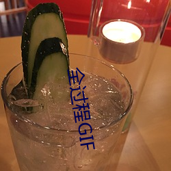 全过程GIF