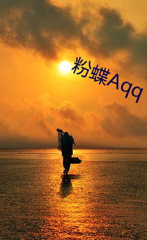 粉蝶Aqq （鹰瞵虎攫）