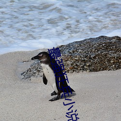 最(最)强狂兵小说
