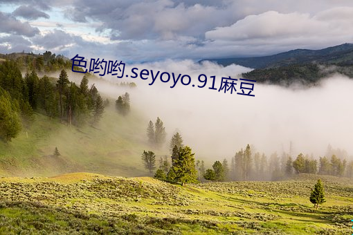 色哟(yō)哟.seyoyo.91麻豆