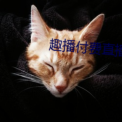 趣播付費直播