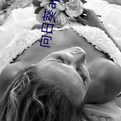 向日葵app下载免费 （逾年历岁）