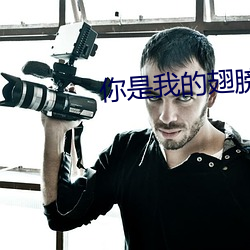 你是我的翅膀 谗口铄金）