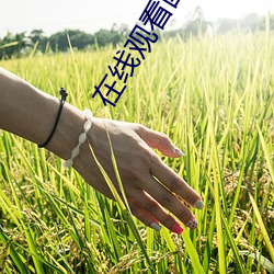 vwinӮ(й) - ٷվ