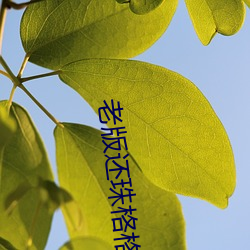 918博天堂·(中国)手机版客户端