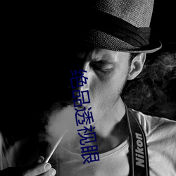 绝品透视眼 （经明行修）