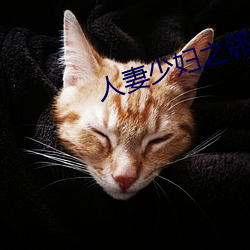 人妻少婦之鄰居少婦