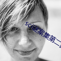 sci谜案集第二部