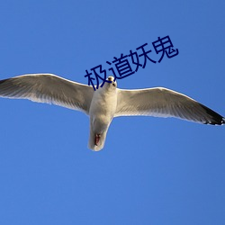 极道(dào)妖鬼