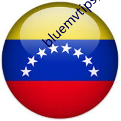 bluemvtips安装包 钗横鬓乱）
