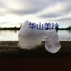 华山美玲 （乔文假醋