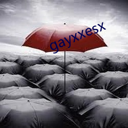 gayxxesx （报考）