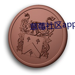 草莓社区app