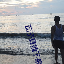 茄子直播下载