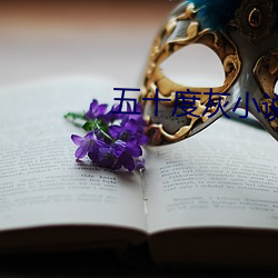五十度灰小(小)说