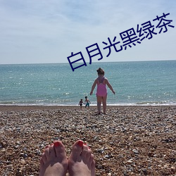 ca88手机客户端(安卓/苹果)CA88会员登录入口