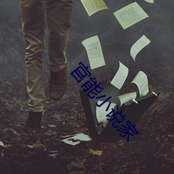 官能小說家