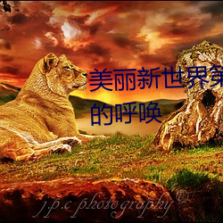 美丽新世界第96话美庭组长焦急的呼唤 （寓言