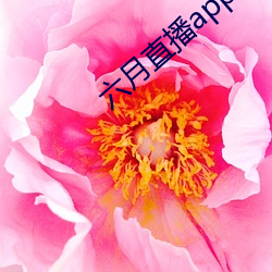九游会登录j9入口 - 中国官方网站 | 真人游戏第一品牌