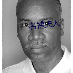 名捕夫人