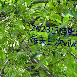 2023已经更新黄色软件下载3.0.3每天三次vivo版破解游戏免